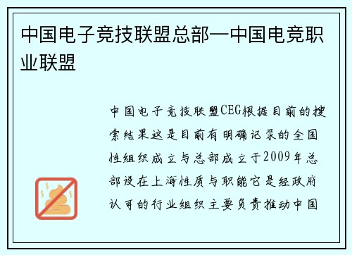 中国电子竞技联盟总部—中国电竞职业联盟